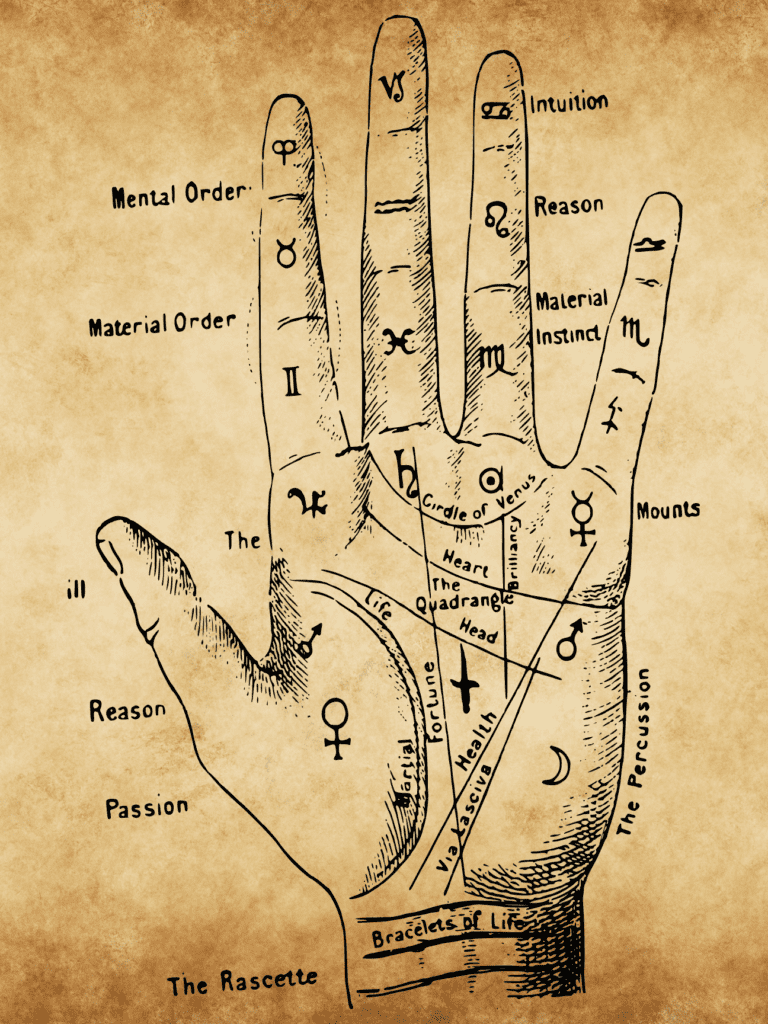 Palmistry